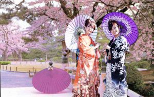 dù giấy Wasaga thường đi kèm với những bộ kimono nhật bản