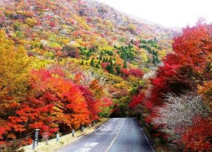 kuju_mountains_fall_colors