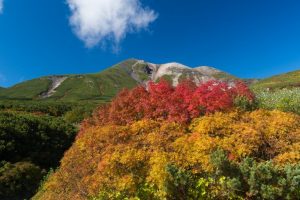 mount_norikura_autumn_leaves