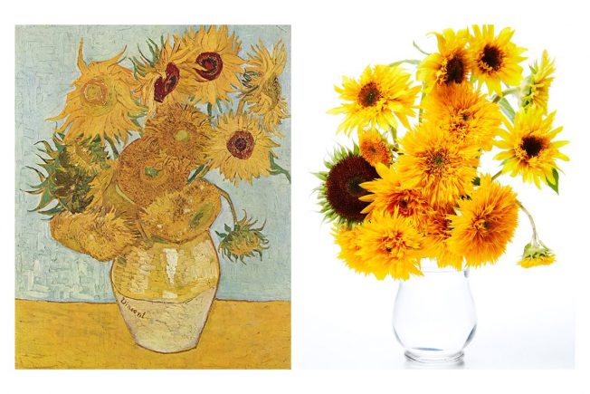 Không cần phải vẽ hoa như thật, bạn có thể tái hiện những bông hoa hướng dương giả bằng bút chì hoặc sơn màu. Bước vào thế giới của Vincent Van Gogh và tìm ra cách để tái hiện lại vẻ đẹp của những loại hoa này. Với một chút phong cách và tài năng của riêng bạn, bạn chắc chắn sẽ tạo ra những bức tranh độc đáo và ấn tượng.