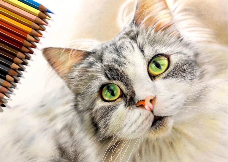 Tranh vẽ mèo đẹp sẽ khiến bạn cảm thấy yêu thích và hài lòng với kỹ thuật của mình. Hãy chiêm ngưỡng những bức tranh mèo tuyệt đẹp này.