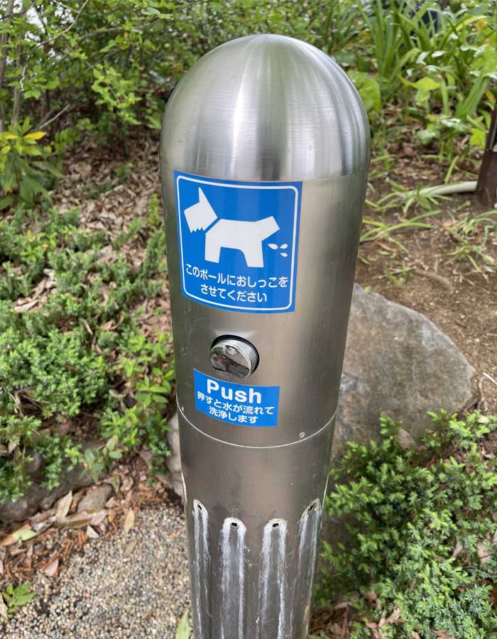 Gậy vệ sinh công cộng có thể xả nước – Phát minh “đột phá” cho các chủ chó khi dắt chó cưng đi dạo