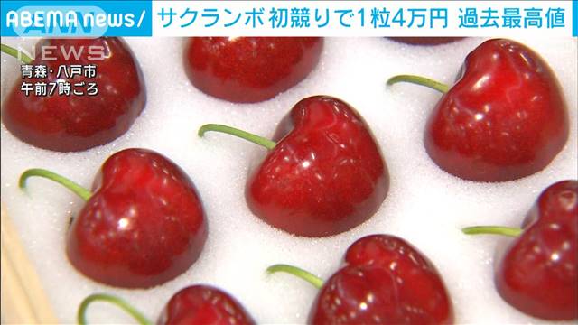Kỷ lục mới tại buổi đấu giá ở Nhật, 7 triệu VNĐ 1 trái Cherry