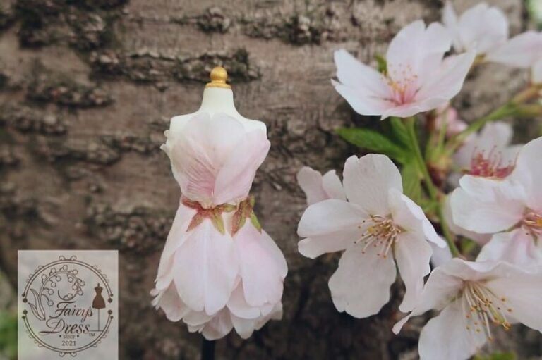 Cánh hoa biến thành những chiếc “đầm tiên” dưới bàn tay của nhà thiết kế Nhật Bản